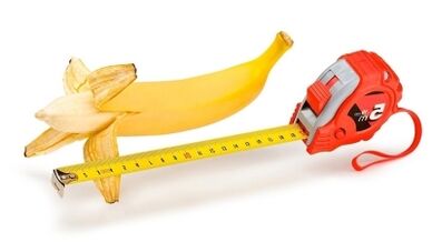 Die normale Penisgröße beträgt 13 bis 17 cm.